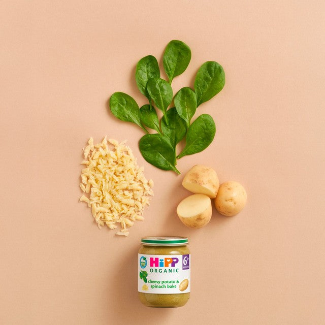 HiPP cheesy potato and spinach bake baby food jar 125g, UK version