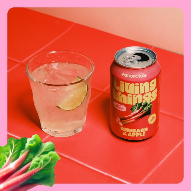 Living Things Rhubarb & Apple Biotic Soda 4 x 330ml, UK version