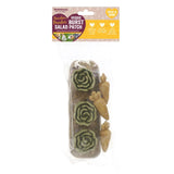Rosewood Veggie Burst Salad Patch small animal treat 200g (British brand)