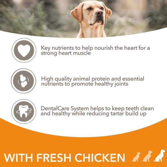 Iams senior large breed dog food with fresh chicken 12kg, UK version