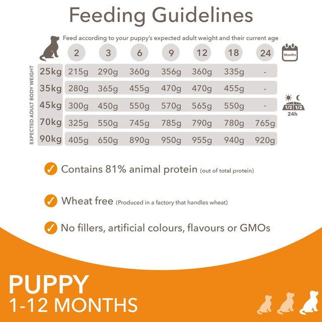 Iams puppy food large breed with fresh chicken 2kg, UK version