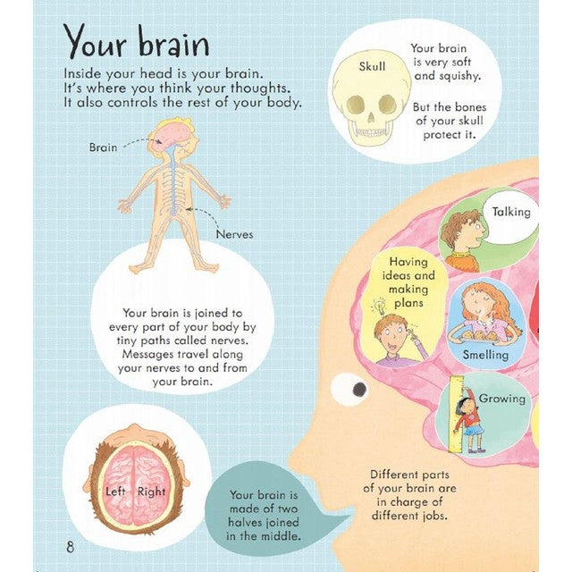 Usborne Look Inside Your Body flap book, UK version