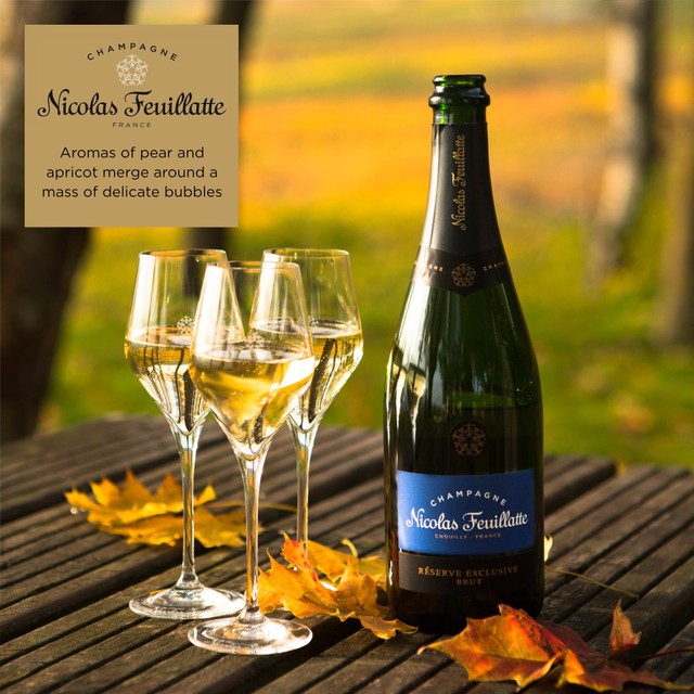 Nicolas Feuillatte Champagne Brut NV 75cl, imported from the UK