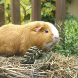 Rosewood Veggie Burst Nibble Leaves small animal treats (British brand)