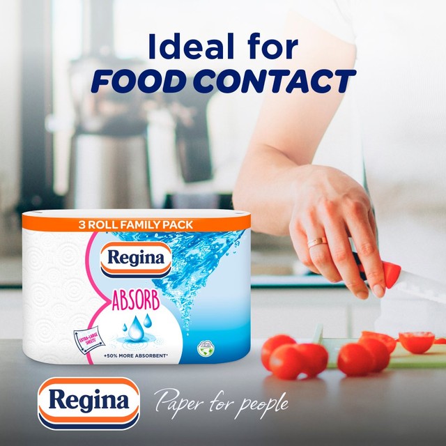 Regina Absorb kitchen roll 3 roll pack, imported from the UK