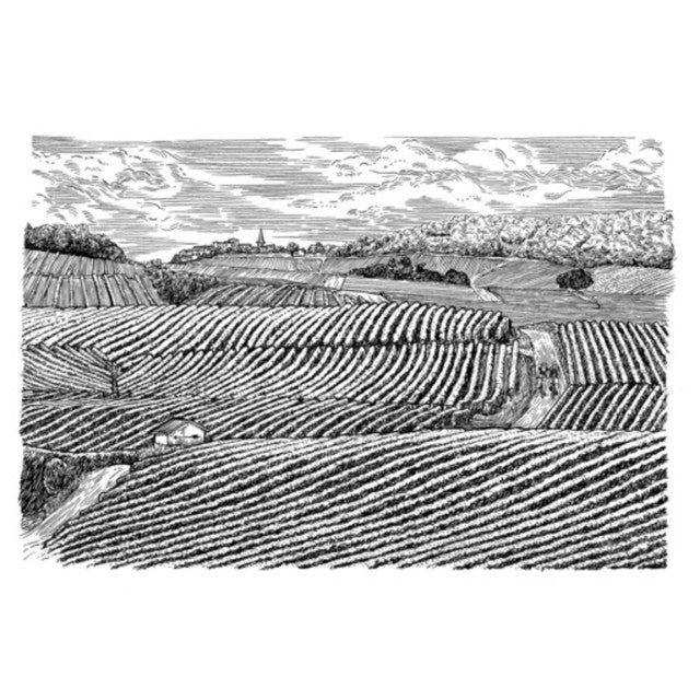 Lafite Rothschild Legende Bordeaux red wine 75cl, UK version
