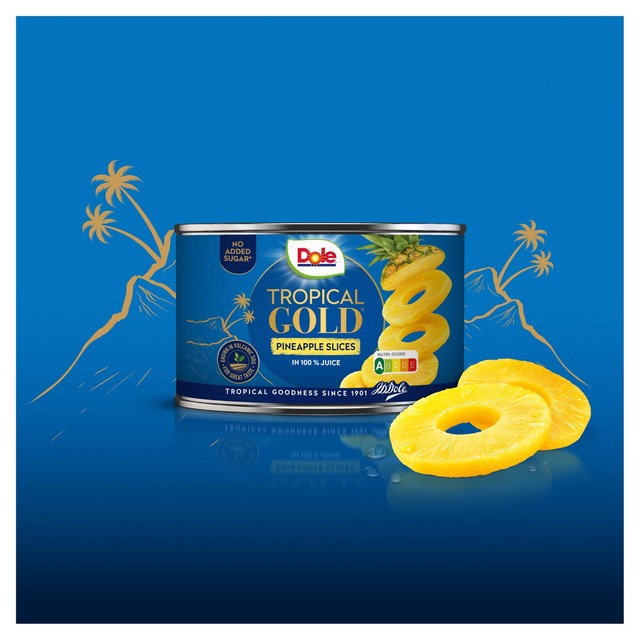 Dole canned pineapple slices in juice 227g - British product