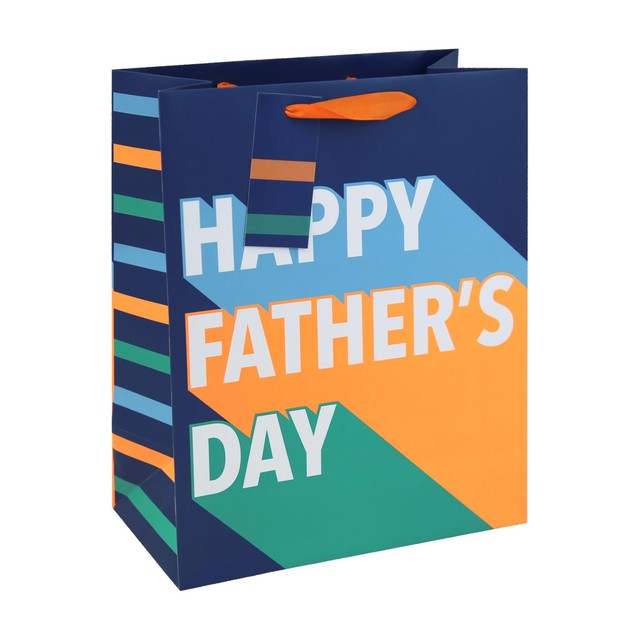 Eurowrap Fathers Day large gift bag (British brand)