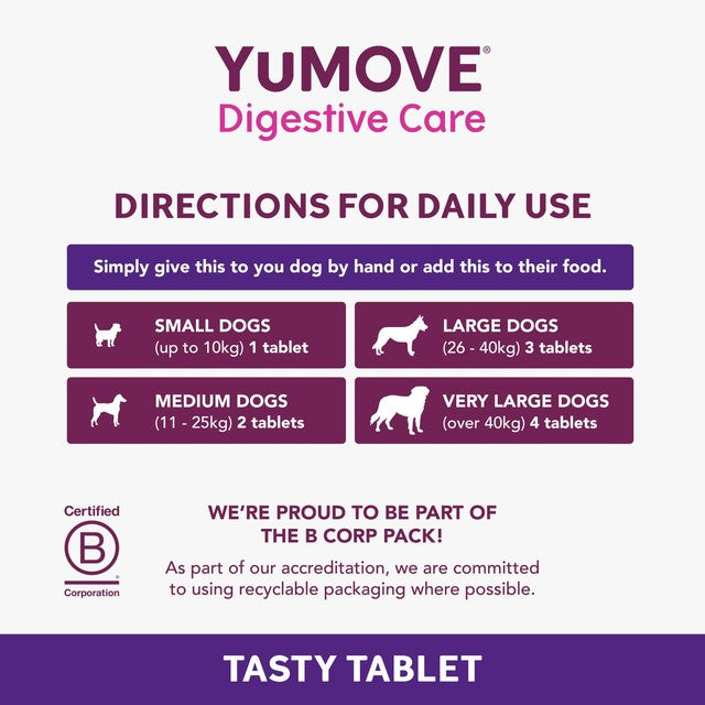 YuMOVE digestive support pre and probiotic for dogs (British brand)