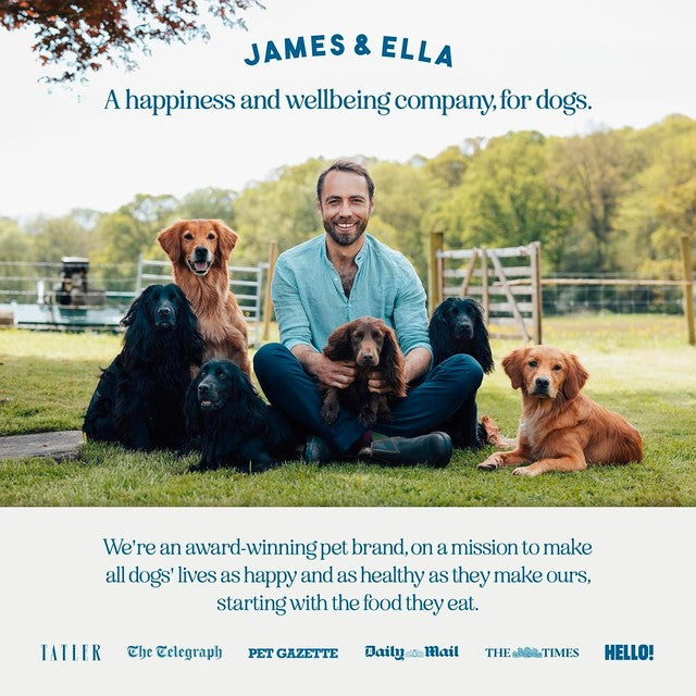 James & Ella Dog Treats Beef, imported from the UK