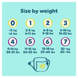 Pampers Premium Protection nappies Essential Pack Size 5 (11-16kg), imported from the UK