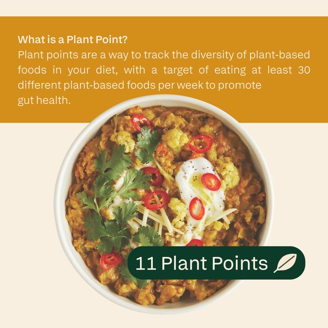 Plants Cauliflower & Lentil Dhal ready meal 300g - British product