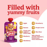 Cow & Gate forest fruit smoothie baby pouch 100g - British product