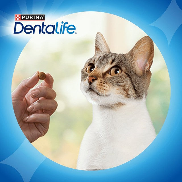 Dentalife salmon cat treats 40g - British product