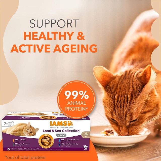 IAMS cat food variety mix 48 pouches 85g each, UK version