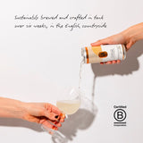LA Brewery ginger kombucha with Sicilian lemon 250ml, UK version