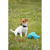 Petface Talulah Turtle dog toy with crinkle fins - British product