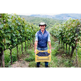 Gonzalez Byass Bottaro Chianti DOCG 2024 75cl (British brand)