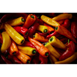 M&S mixed pointed peppers 3 per pack, imported from the UK