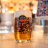 Estrella Galicia gluten free lager 5.5% bottles - British product