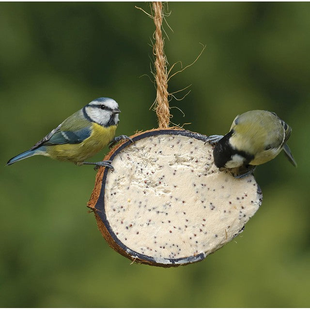 RSPB Coconut Treat bird suet feeder, imported from the UK