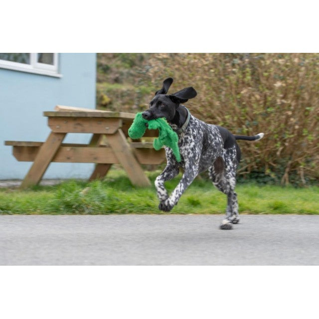 Petface Planet Crocodile dog toy, imported from the UK