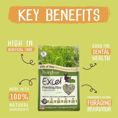 Burgess Excel Hay للتغذية عشب طازج مجفف علف حيوانات صغيرة 1kg