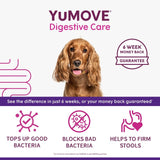 YuMOVE digestive support pre and probiotic for dogs (British brand)