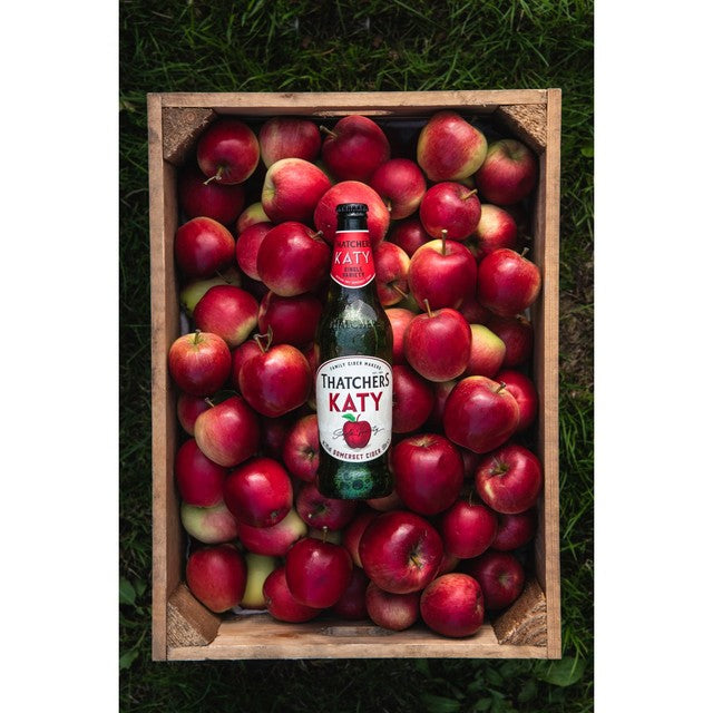 Thatchers Katy cider 500ml (British brand)