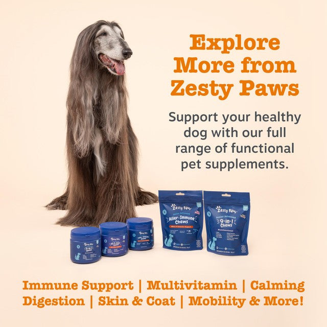 Zesty Paws senior dog chews turkey flavour, imported from the UK
