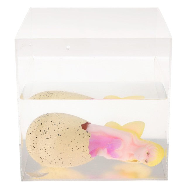Rex London giant hatching fairy egg, imported from the UK