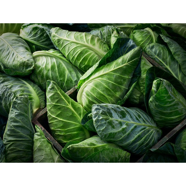 Pakket M&S Sweetheart Cabbage, importert fra Storbritannia