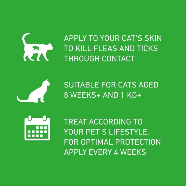Frontline Plus flea and tick cat treatment - British product
