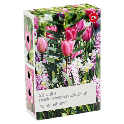 Sainsburys Pastellfarger Kolleksjon Løk x20