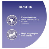 Purina One Salmon dry cat food, imported from the UK