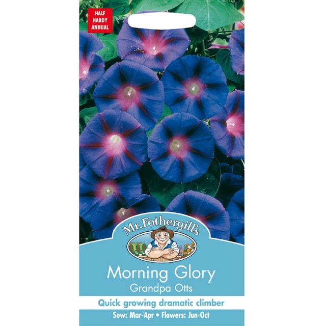 Mr Fothergills Samen Prunkwinde Blumen-Samen, importiert aus dem Vereinigten Königreich