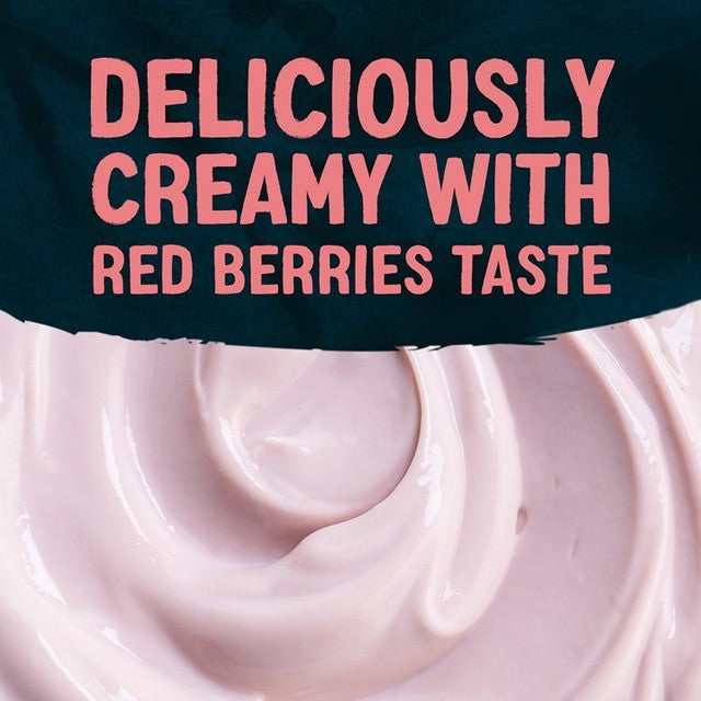 Alpro Red Berries Yoghurt Alternative 200g - British product
