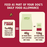 Lily's Kitchen beef dog food bars 2x 40g, UK version