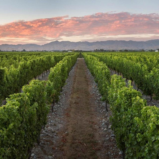 Stoneleigh Sauvignon Blanc Marlborough 75cl (Imported from New Zealand)