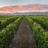Stoneleigh Sauvignon Blanc Marlborough 75cl (Imported from New Zealand)