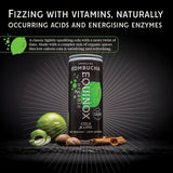 Equinox organic cola and lime kombucha can (British brand)