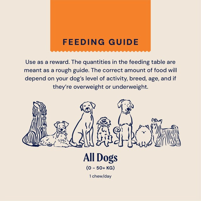 Pooch & Mutt long-lasting fish hide chews 90g, imported from the UK