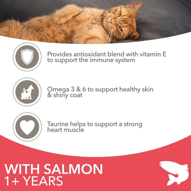 IAMS Adult Dry Cat Food Salmon 3kg, UK version