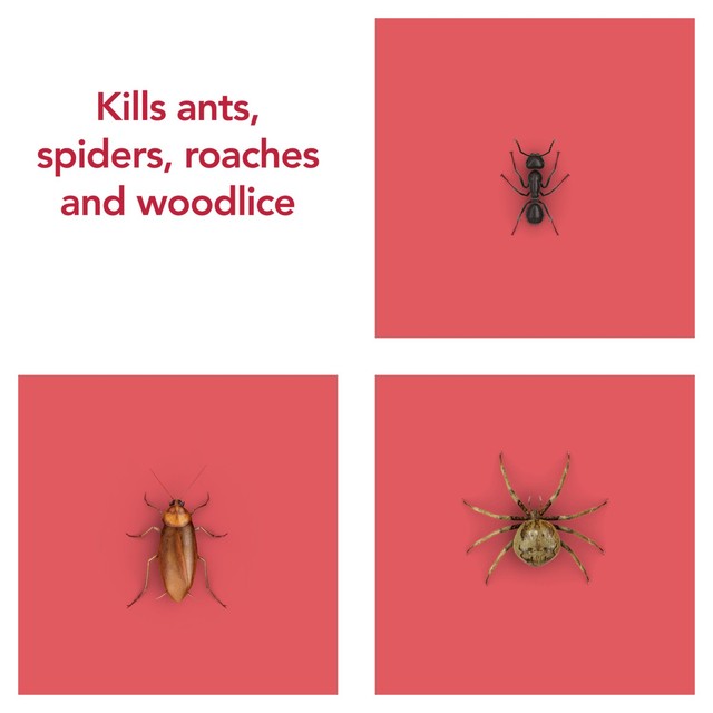 Raid insect killer spray 300ml, imported from the UK
