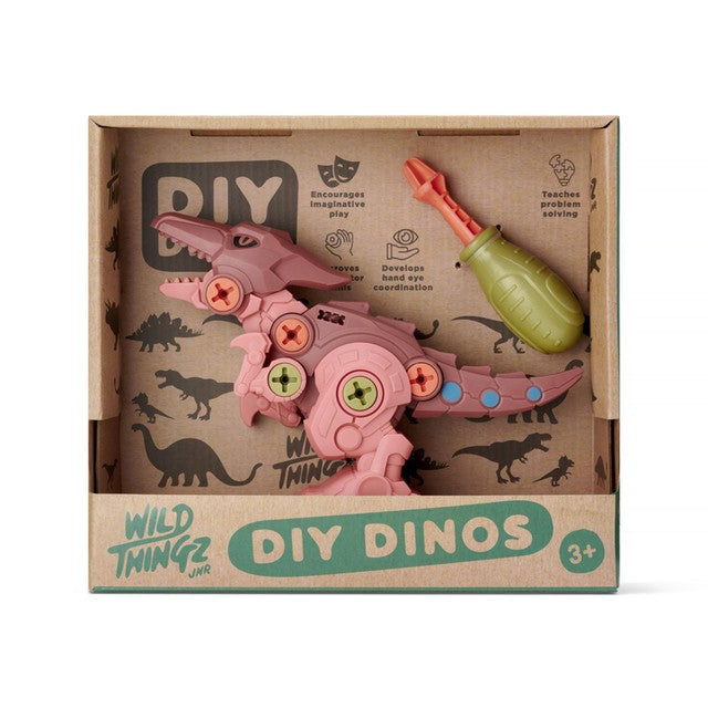 Wild Thingz DIY Dino Pterosaur model kit (British brand)