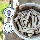 Sorbo wooden pegs pack of 36 (British brand)