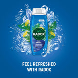 Radox Feel Awake shower gel and shampoo 450ml, imported from the UK