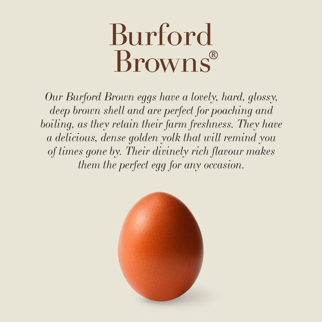 Clarence Court Burford Brown 6 medium eggs - British product