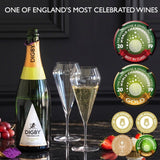 Digby Fine English 2013 Vintage Brut sparkling wine 75cl - British product