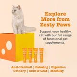 Zesty Paws anti-hairball paste for cats (British brand)